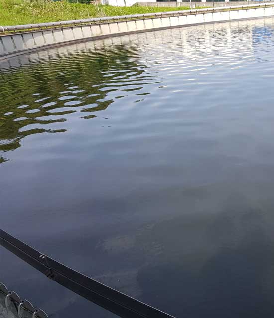 Kläranlage Meckesheim Becken