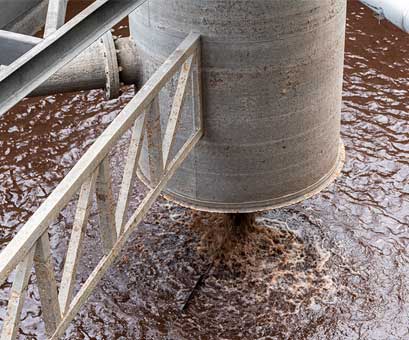 Phosphateliminierung Schaubild.