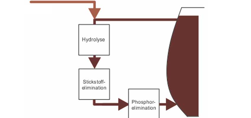 Stickstoffelimination Schaubild.
